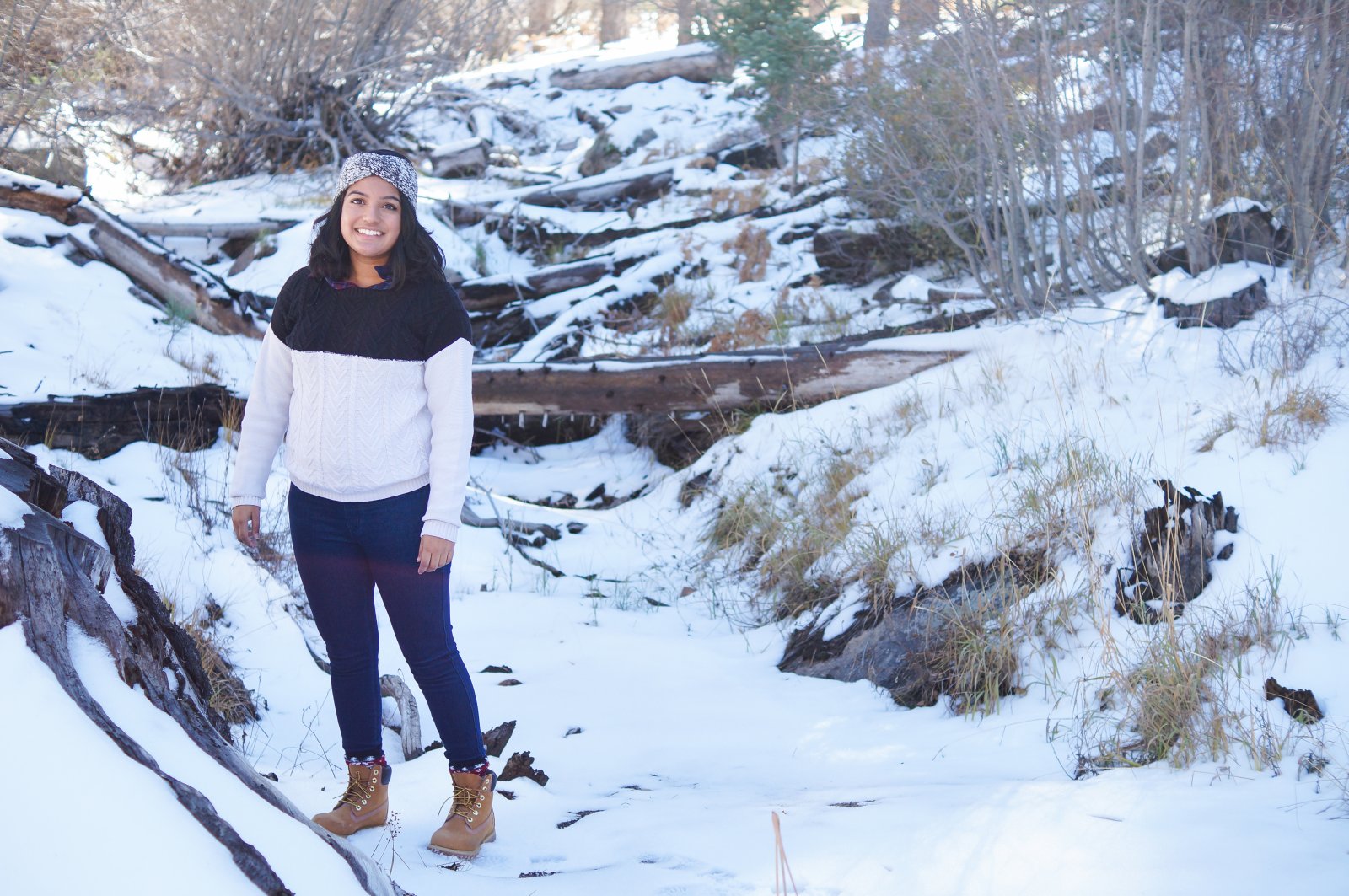 Winter Scenery at Big Bear Lake