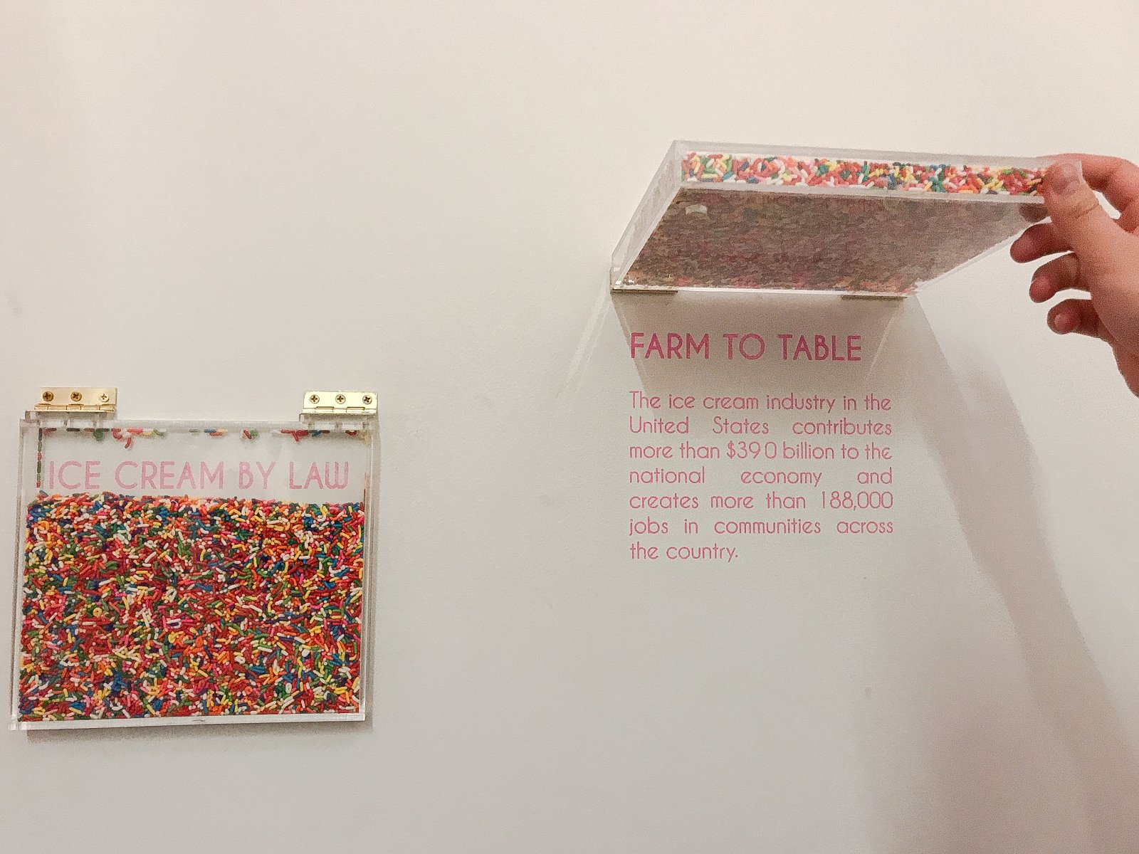 Museum of Ice Cream Sprinkles Pool Wall