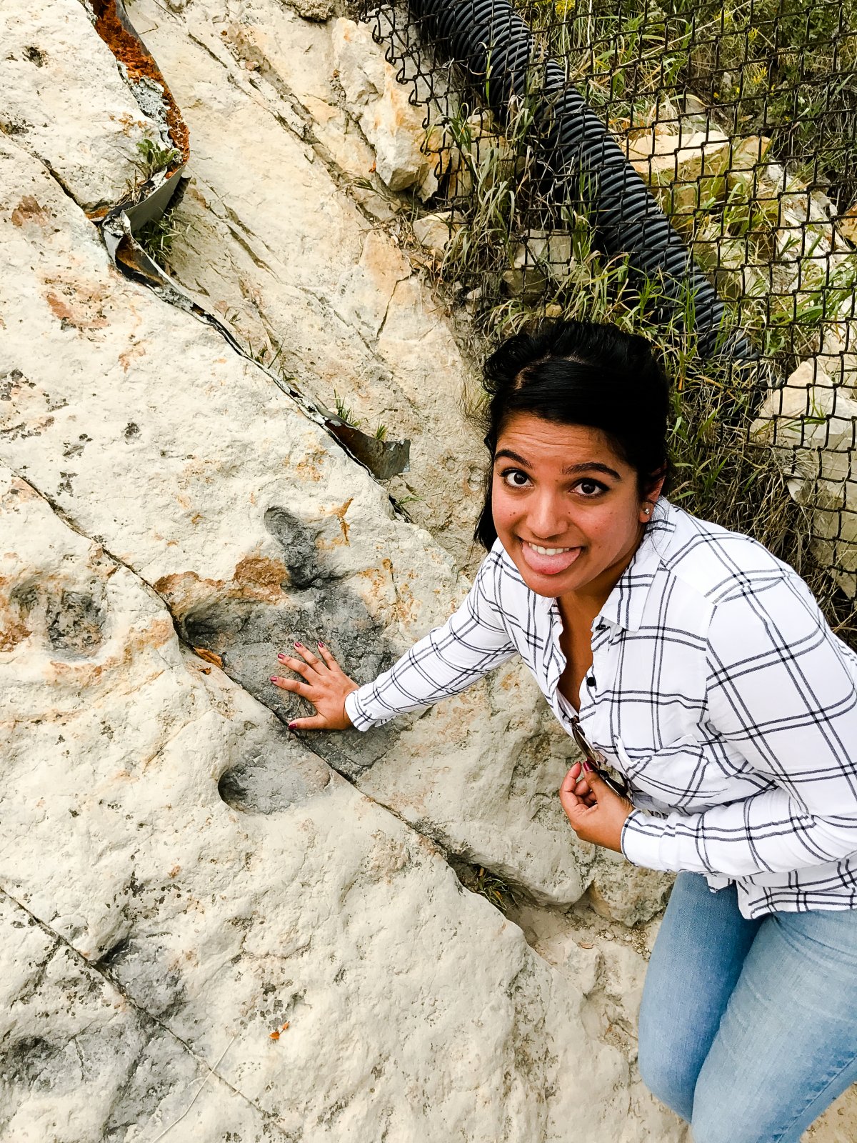 Dinosaur Ridge Fossil Tracks