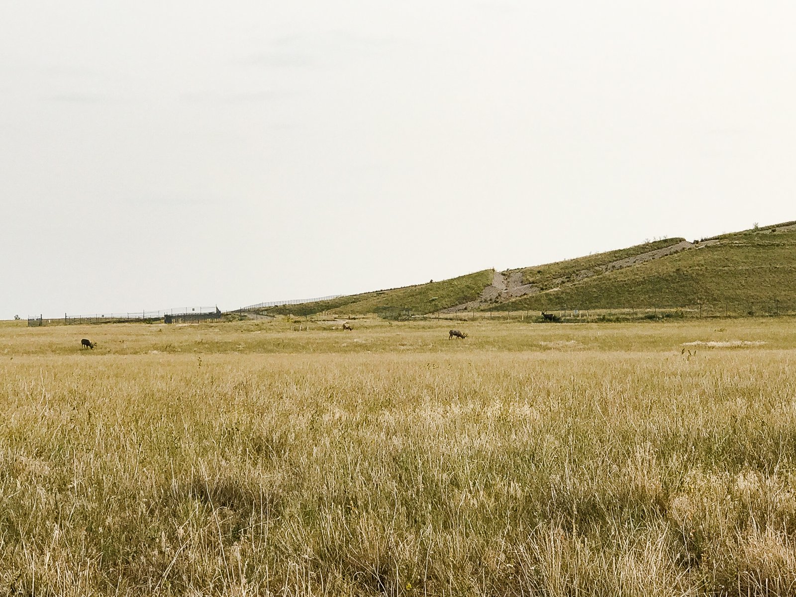 Rocky Mountain Arsenal Refuge